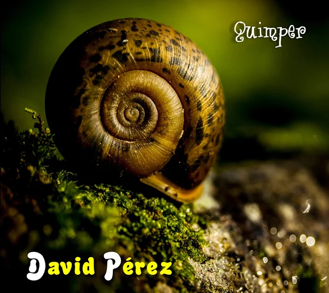 CD-música tradicional de Cantabria: "Quimper" de David Pérez